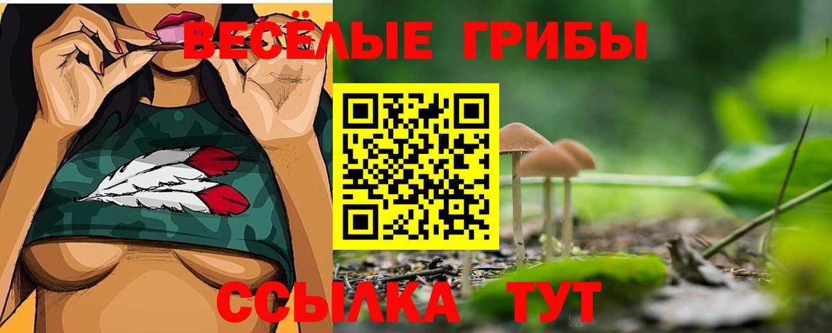 цена наркотик  Псилоцибиновые грибы мицелий  Вход с VPN  Псилоцибиновые грибы ЛСД  Шахты 
